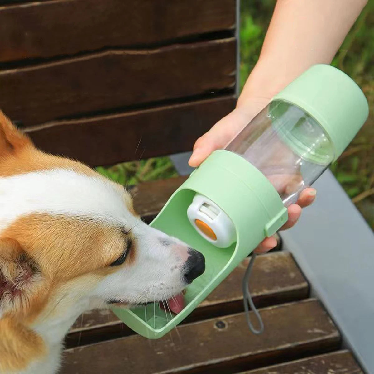 Portable Dog Water Bottle With Food Storage 500 ml